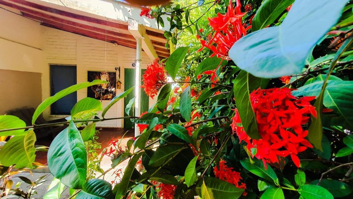 Hostal Club Mochilero Ла Либертад Екстериор снимка